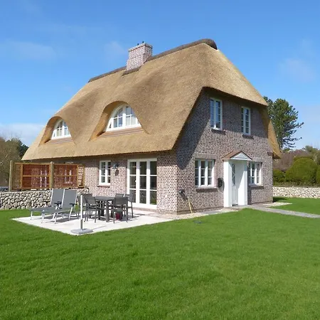 Heidehues Seepferdchen * Nebel