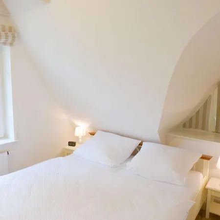 Heidehues Seepferdchen * Nebel