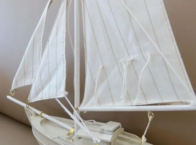 Heidehues Seepferdchen * Nebel