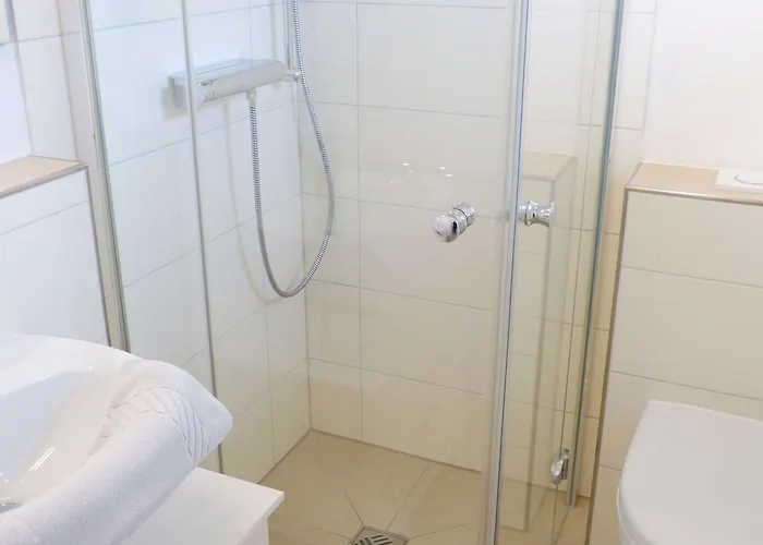 Heidehues Seepferdchen * Nebel