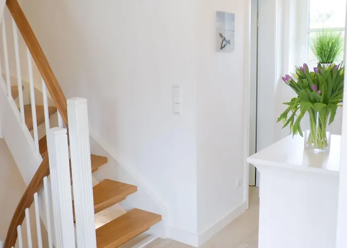 Heidehues Seepferdchen * Nebel