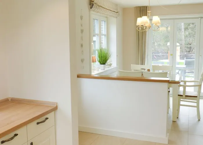 Heidehues Seepferdchen * Nebel