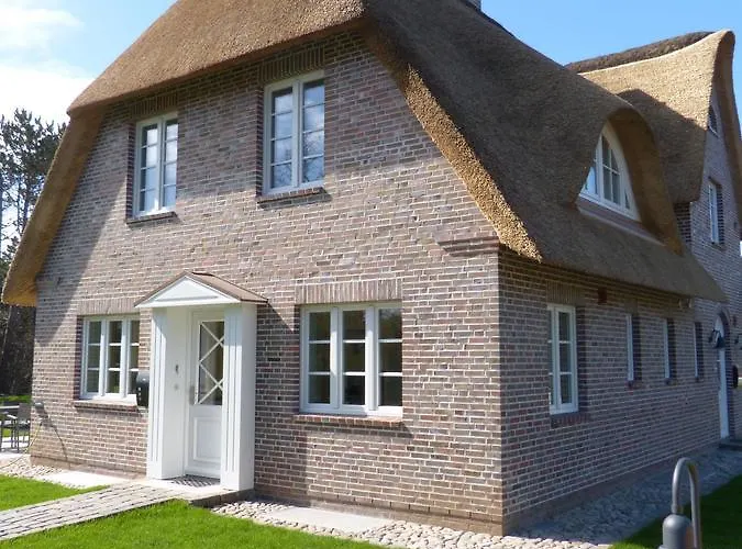 Heidehues Seepferdchen * Nebel