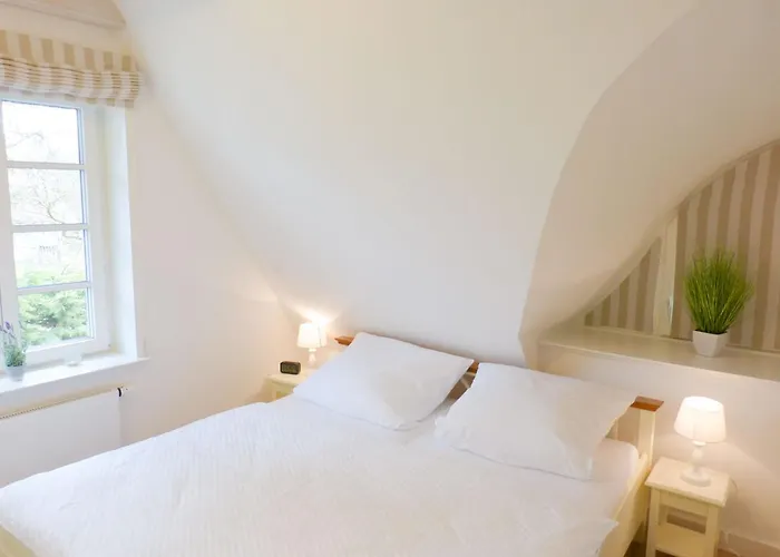 Heidehues Seepferdchen * Nebel